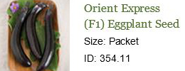 0040_20201223_1201_2021 Seed Order - Orient Express Eggplant.jpg